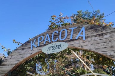 В парке &quotРивьера&quot обновят спортплощадки и высадят 50 елей Юлия Кучинина