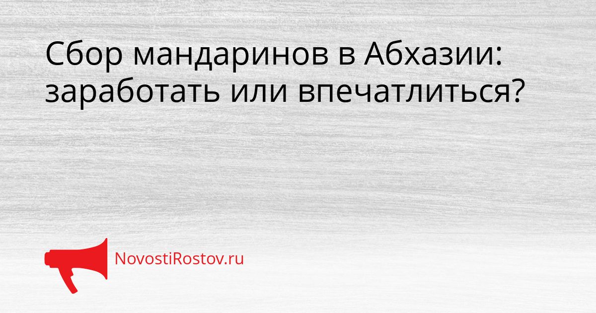 Сбор мандаринов в Абхазии: заработать или впечатлиться?