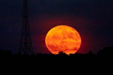 Гороскоп: Близнецы находят радость в простом, Скорпионы наводят порядок в душе
