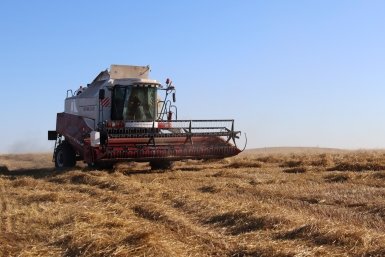 Красноярский край инвестирует в АПК 29,5 млрд рублей