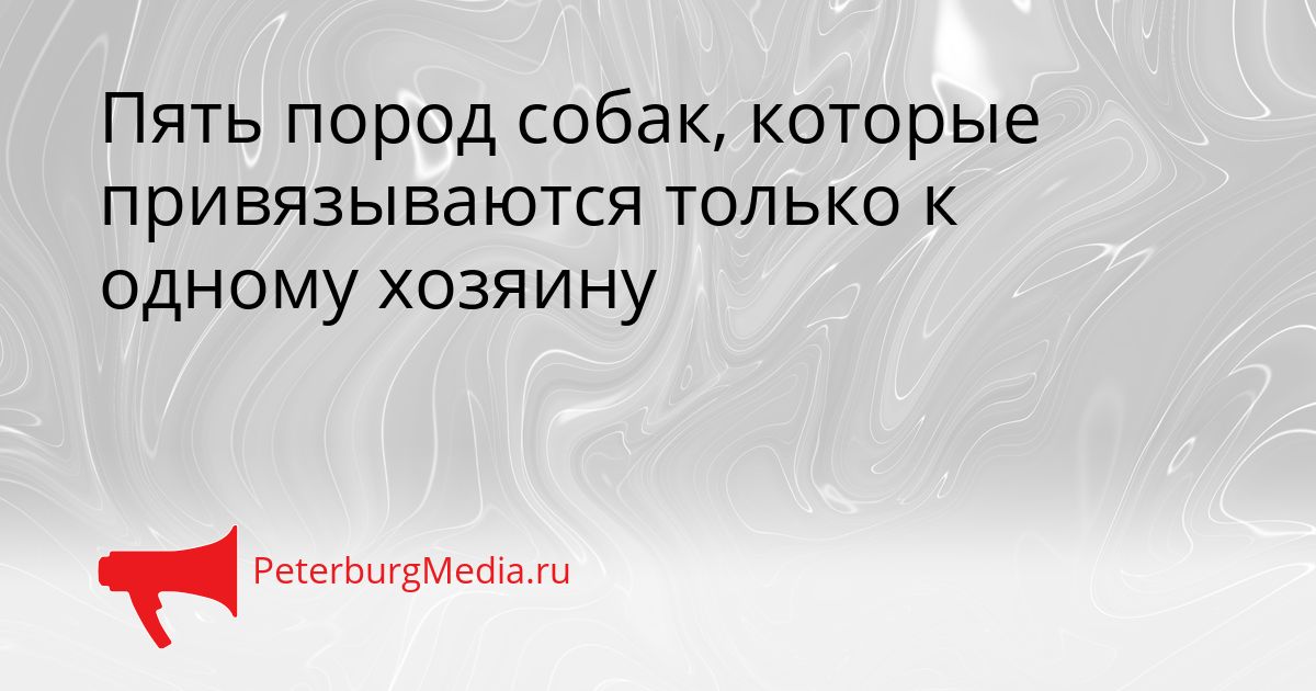Пять пород собак, которые привязываются только к одному хозяину