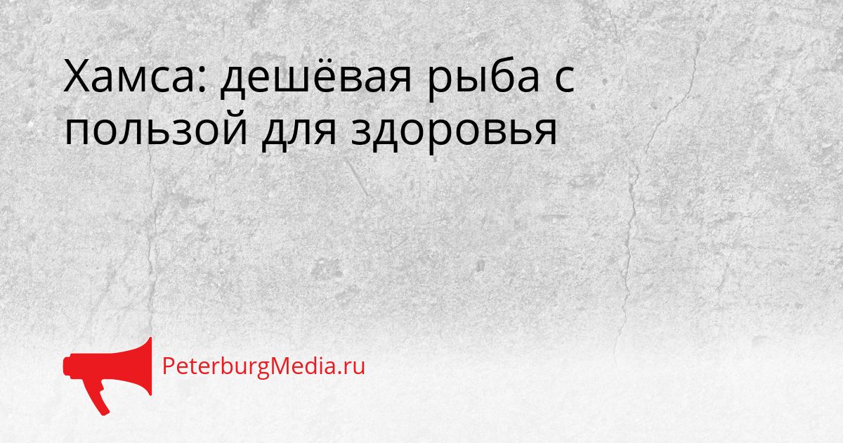 Хамса: дешёвая рыба с пользой для здоровья