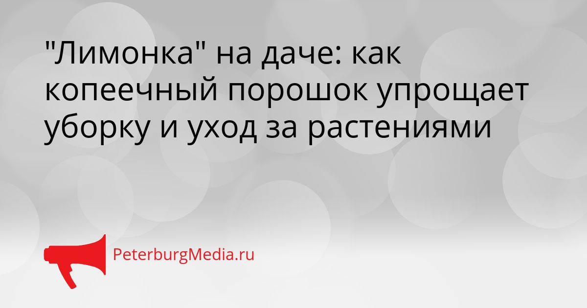 "Лимонка" на даче: как копеечный порошок упрощает уборку и уход за растениями