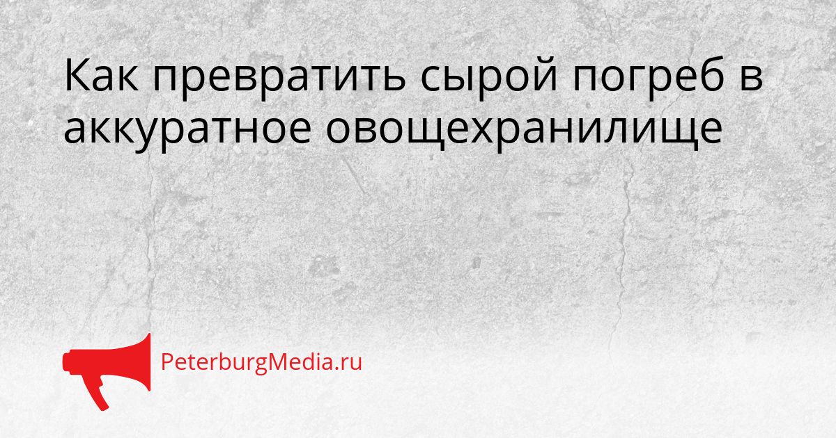 Как превратить сырой погреб в аккуратное овощехранилище