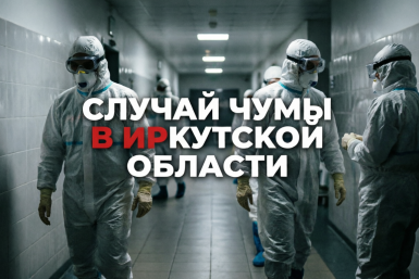 Случай чумы в Иркутской области: что известно о ситуации к утру 3 октября Создано при помощи ИИ