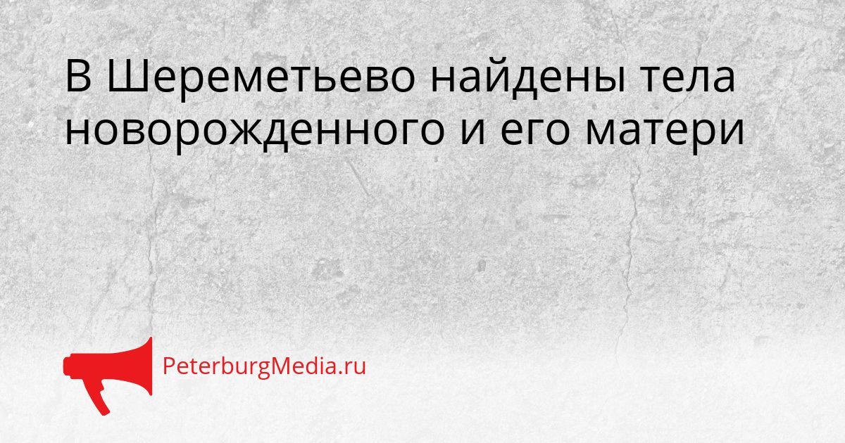 В Шереметьево найдены тела новорожденного и его матери