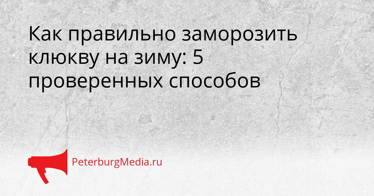 Как правильно заморозить клюкву на зиму: 5 проверенных способов