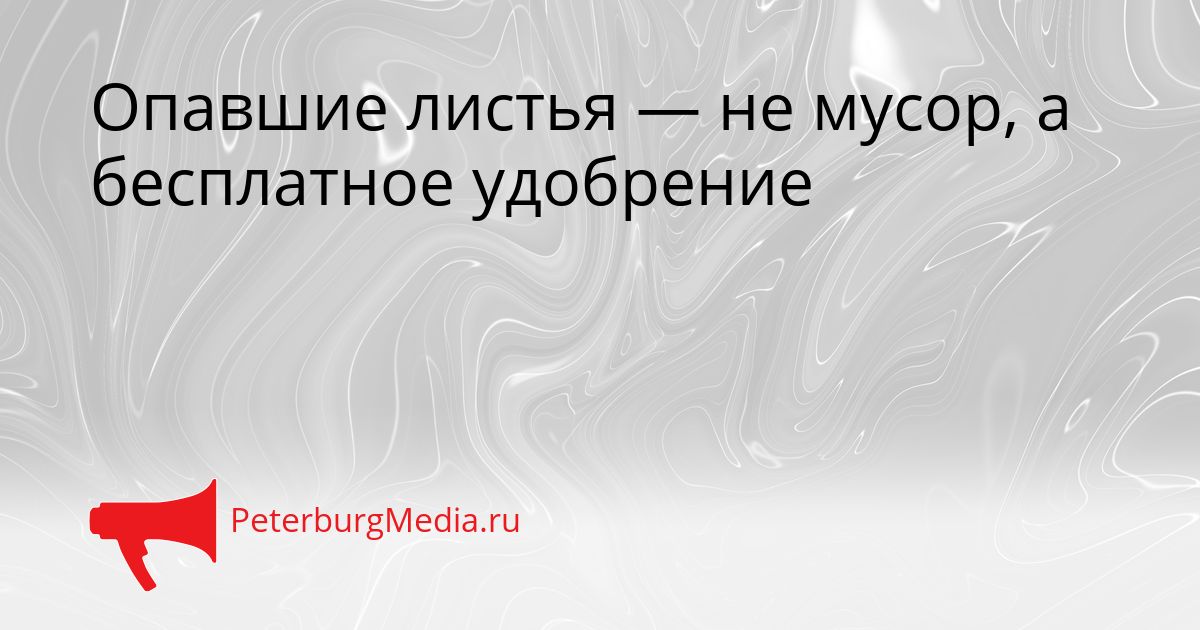 Опавшие листья — не мусор, а бесплатное удобрение