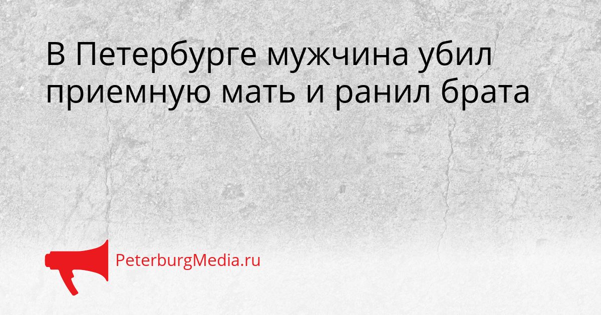 В Петербурге мужчина убил приемную мать и ранил брата Сгенерировано